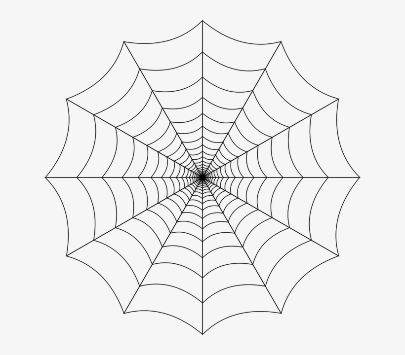 Spider Web Transparent Background, transparent png #3821417