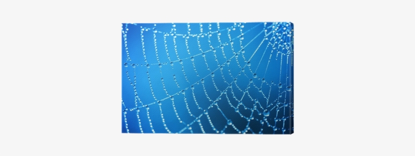 Dew, transparent png #3821723