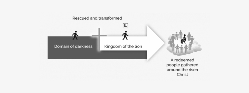 How Are Disciples Made - Vine Project, transparent png #3821848