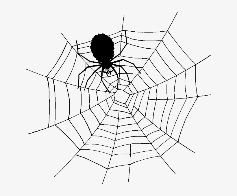 Explore Events For Kids, Spider Webs And More - Spider In Web Cartoon, transparent png #3821934