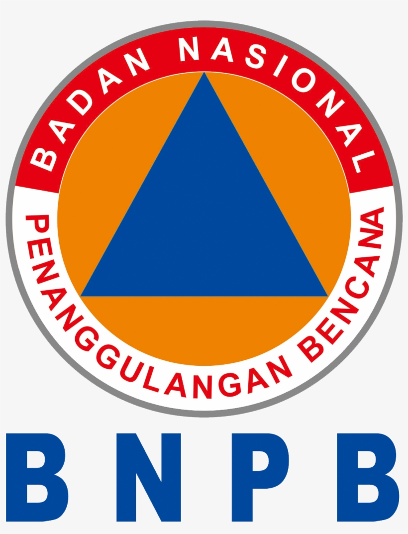 Logo Skype Png - Indonesian National Board For Disaster Management, transparent png #3822220