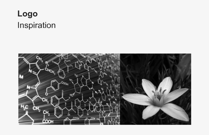 All The Design Was Aimed At Maximized Functionality, - African Daisy, transparent png #3823259