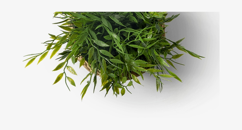 17988-plan - Cafe Branding Mockup Psd, transparent png #3824242