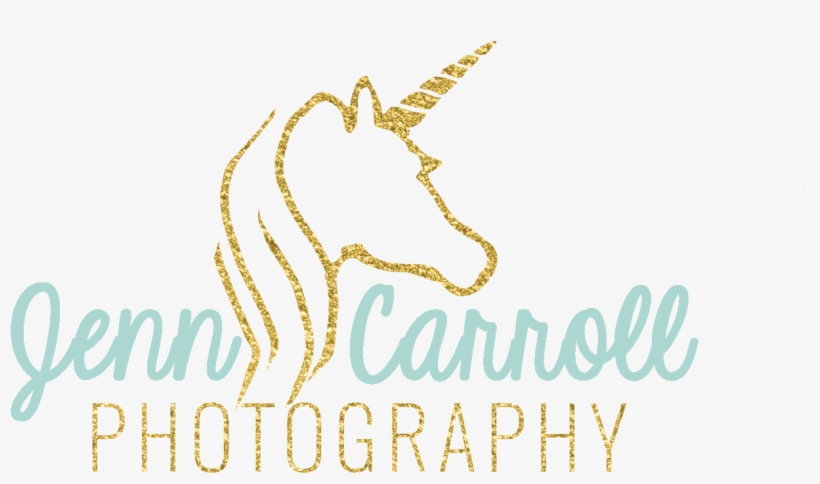 Focusing On The Little Moments, Capturing Them For - 2013, transparent png #3824888