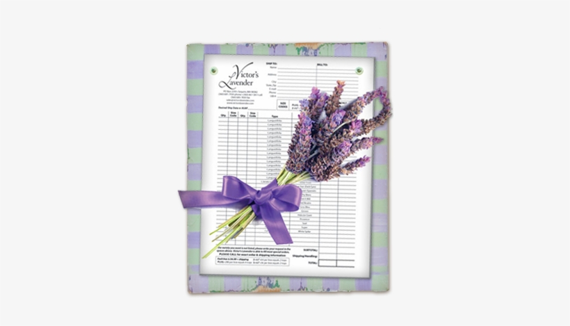 December 31, 2016 Victor's Lavender Order Form - Victor's Lavender, transparent png #3825272