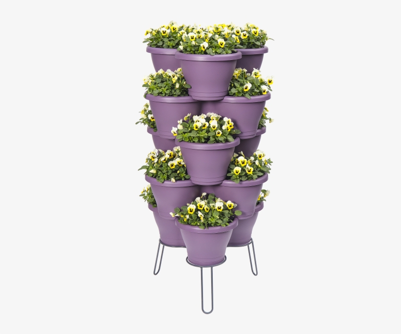 Home > Collection > Corsica Vertical Garden - Garden, transparent png #3825301