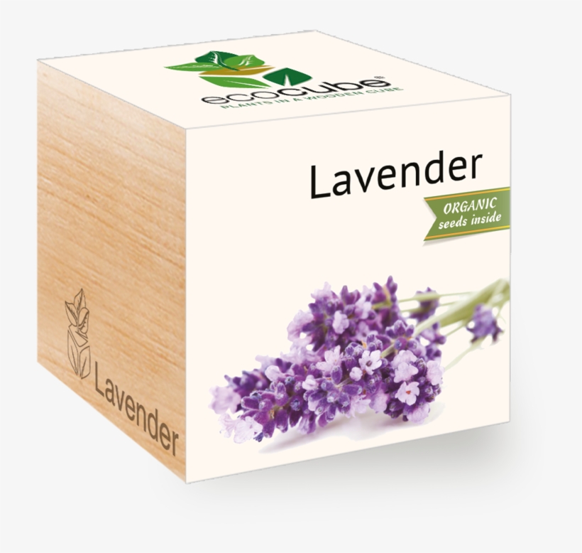 Mint - Feelgreen Gyo Biodegradable Ecocube Lavender Seeds, transparent png #3825809