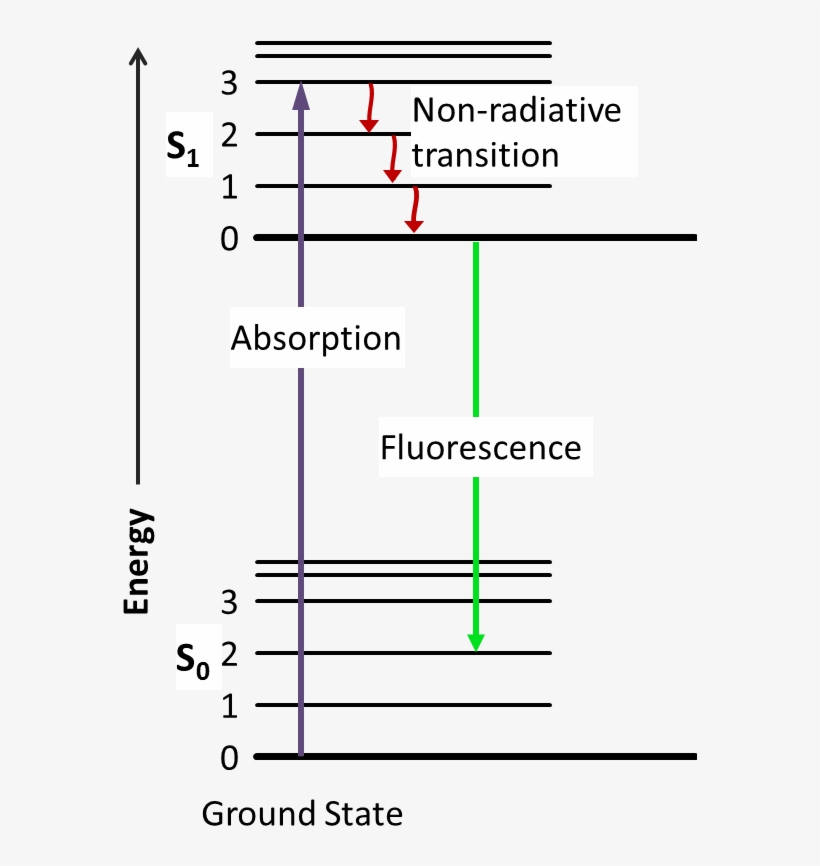 #chemsummer Carnival Glow Sticks - Jablonski Diagram Fluorescence Lifetime, transparent png #3825878