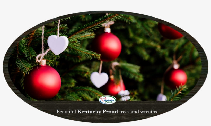Why Buy Kentucky Proud - Christmas Day, transparent png #3827453