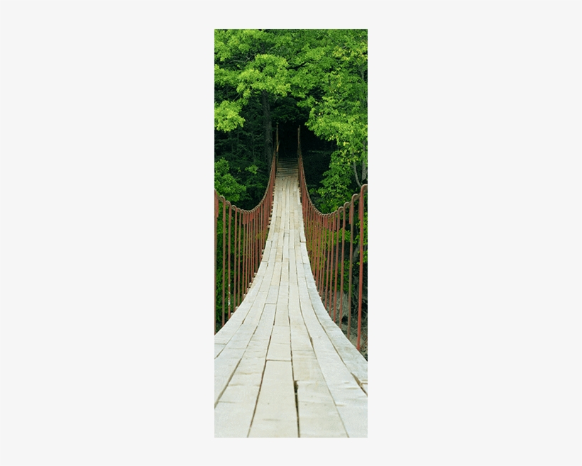 Suspension Bridge Door Mural Landscapes & Nature Eazywallz - Фотообои Мост В Лесу, transparent png #3827930