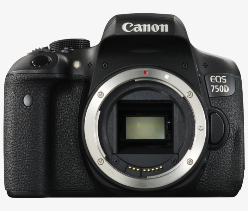 Canon Eos Logo Png Download - Canon Eos 800d Body, transparent png #3828012