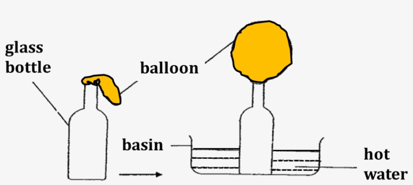 Diagram Shows Empty Bottle And Fixed A Deflated Balloon - Balloon, transparent png #3828436