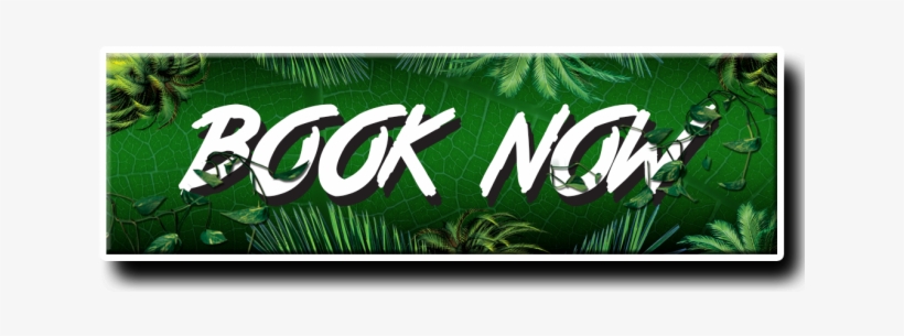 Book Now Jungle Room Escape Room Novi - Hierochloe, transparent png #3829614