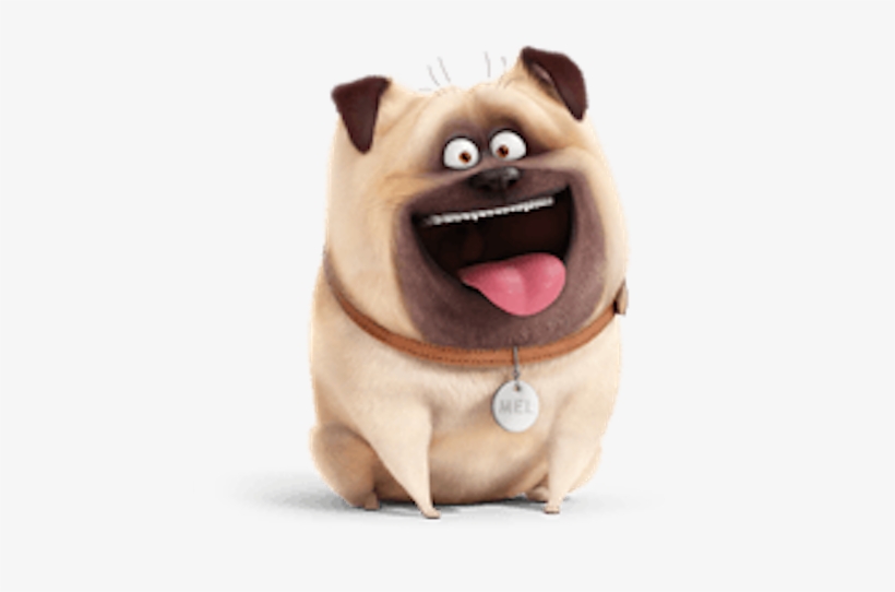 Mel The Secret Life Of Pets - Mel From Secret Life Of Pets, transparent png #3829830