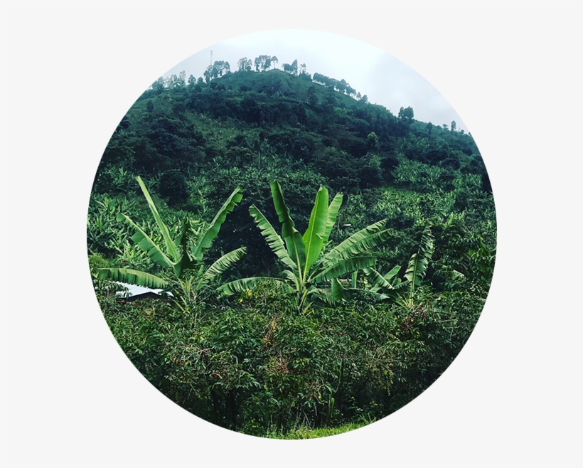 Matendooffering4 - Hill, transparent png #3830293