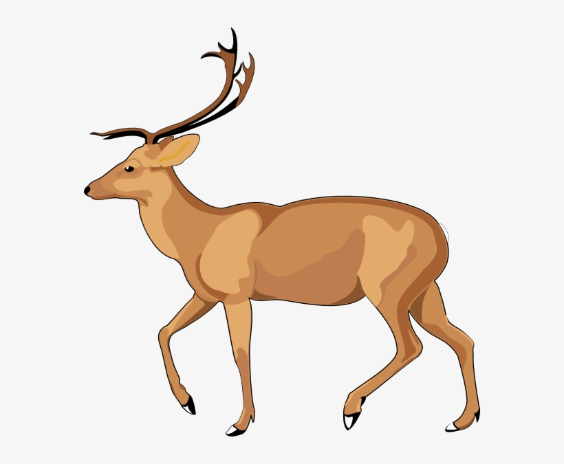 Free Deer Clip Art - Debden Park High School, transparent png #3830928