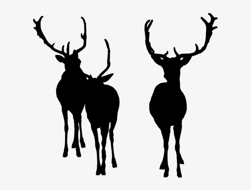Deer Bucks Deersilhouette Silhouette - Elk, transparent png #3831084