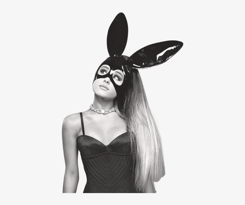 Looking On Fleek Ariana Grande Concert, Ariana Grande - Ariana Grande Png, transparent png #3831177