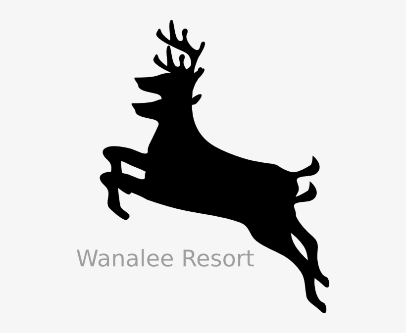 Deer Png - Deer Clip Art, transparent png #3831500