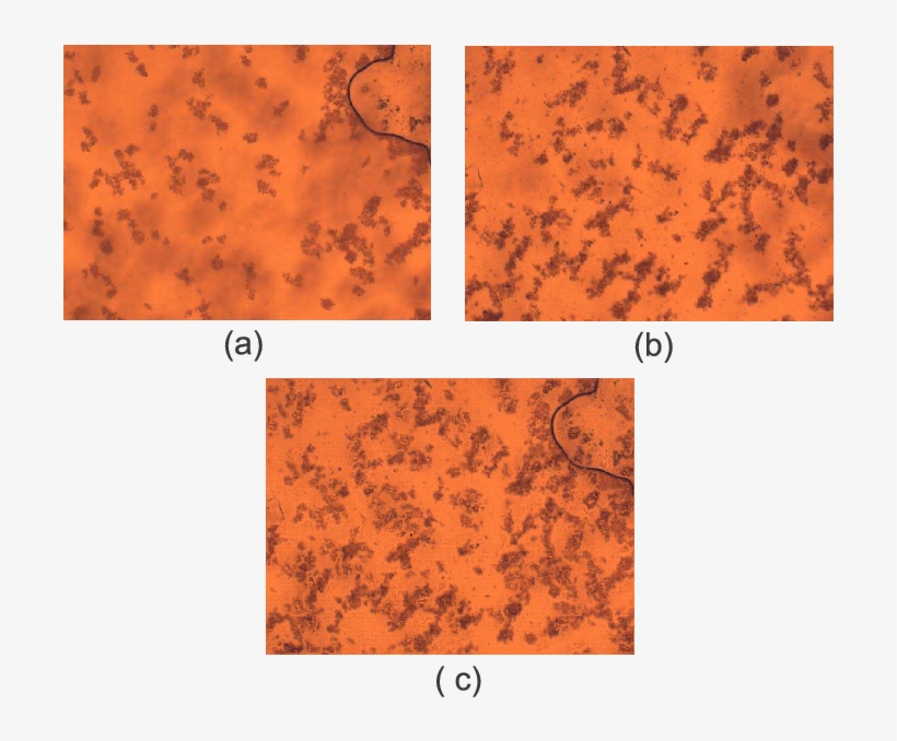 Test Images Acquired From Metallic Samples - Aperture, transparent png #3831855