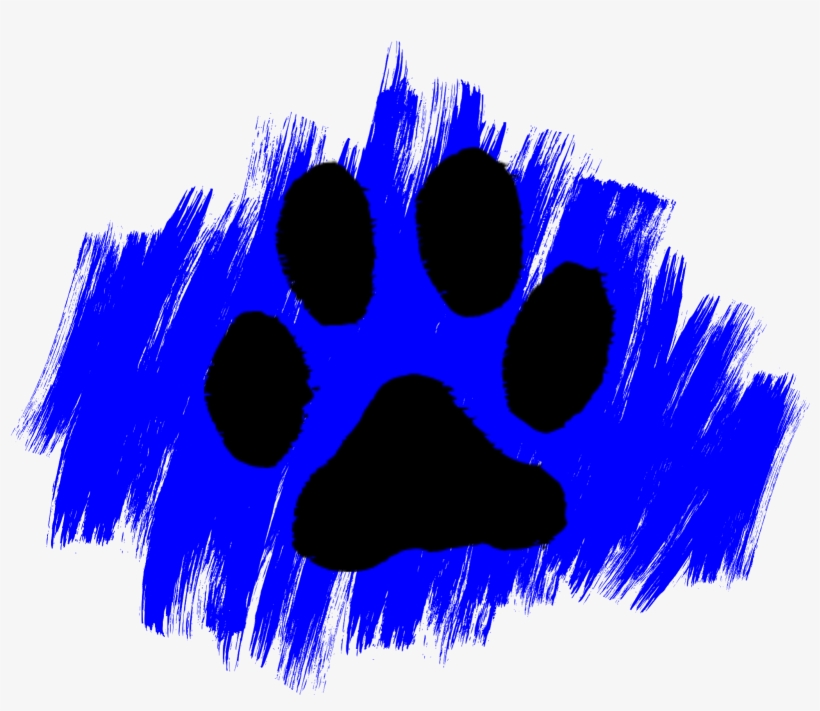 Take A Second Look, Maybe Even A Third Or Fourth, At - Blue Paws, transparent png #3832604