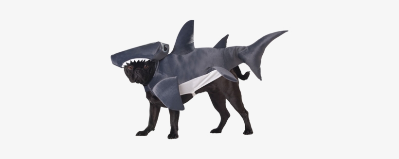 Sharknado Dog Costume - Dogs In Taco Costumes, transparent png #3832913