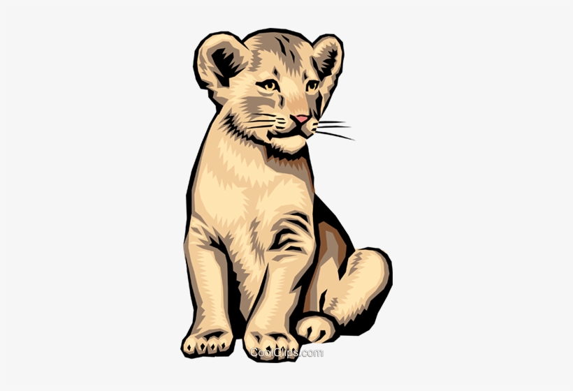 Lion Cub Royalty Free Vector Clip Art Illustration - Lion Cub Clip Art, transparent png #3833270