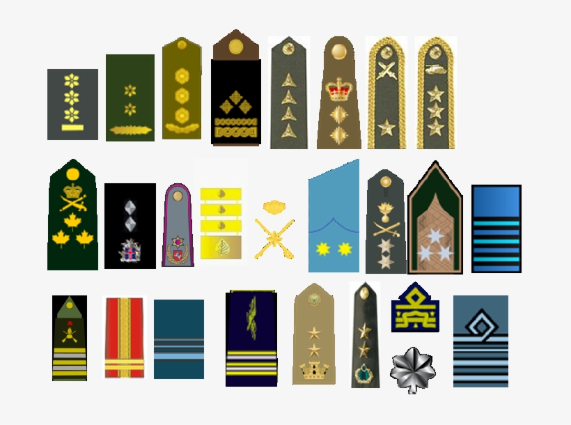 The Variety In Nato Ranks -and Most Of The Insignia - Graphic Design, transparent png #3833631
