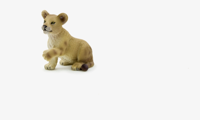 Mojo Lion Cub Playing, transparent png #3833671