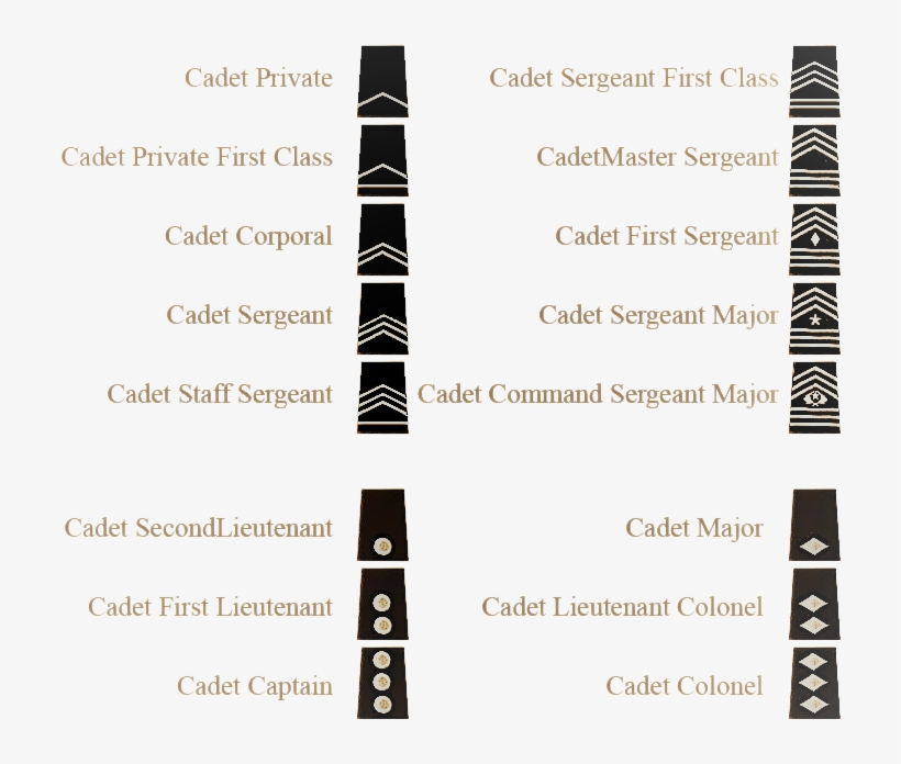 Awards And Ranks - North Mesquite High School, transparent png #3833673