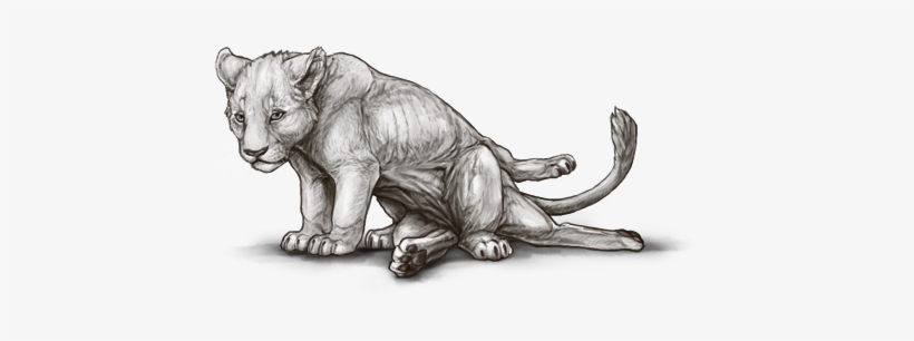 Illustration, transparent png #3833723
