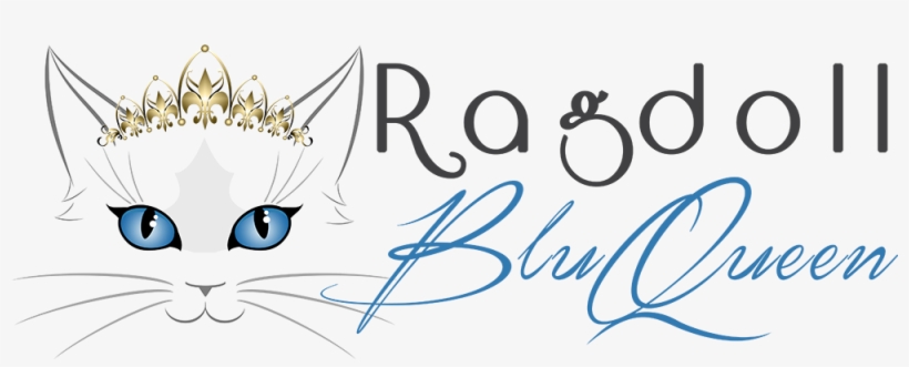 Amateur Cattery Of Ragdoll Cats Of Anna Aprea - Handwriting, transparent png #3834368