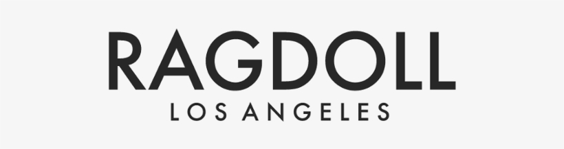 About Ragdoll Header - Ragdoll Book, transparent png #3834492