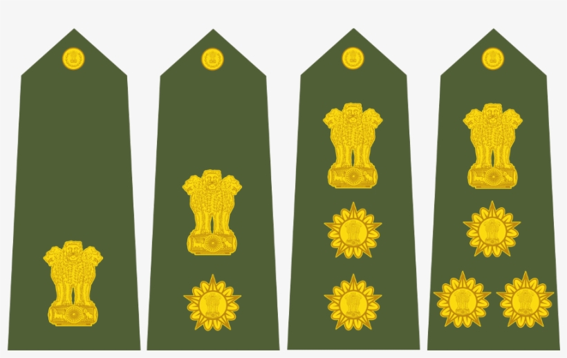 Major, Lieutenant Colonel, Colonel And Foreman Are - Dandelion, transparent png #3834544