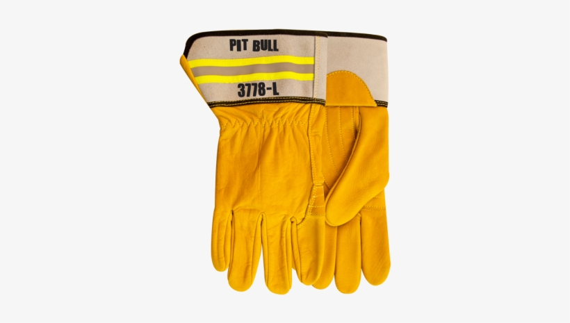 3778 Pit Bull - Water, transparent png #3835155