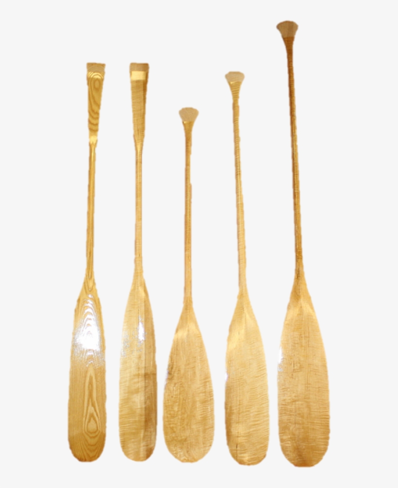 Curly Maple & Ash Canoe Paddles - Paddle, transparent png #3835493
