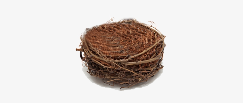 Tips To Help You Fly Through Empty Nest Syndrome Dr - Retirement Account, transparent png #3835885
