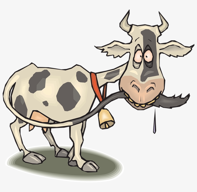 Download Cow Clip Art ~ Free Clipart Of Cows - Mad Cow Ceramic Mug, transparent png #3836913