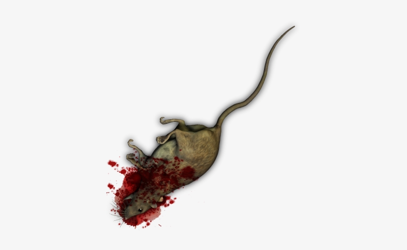 I Just Stumbled Across This Topic Again Which I Had - Dundjinni Corpse Animal, transparent png #3837320