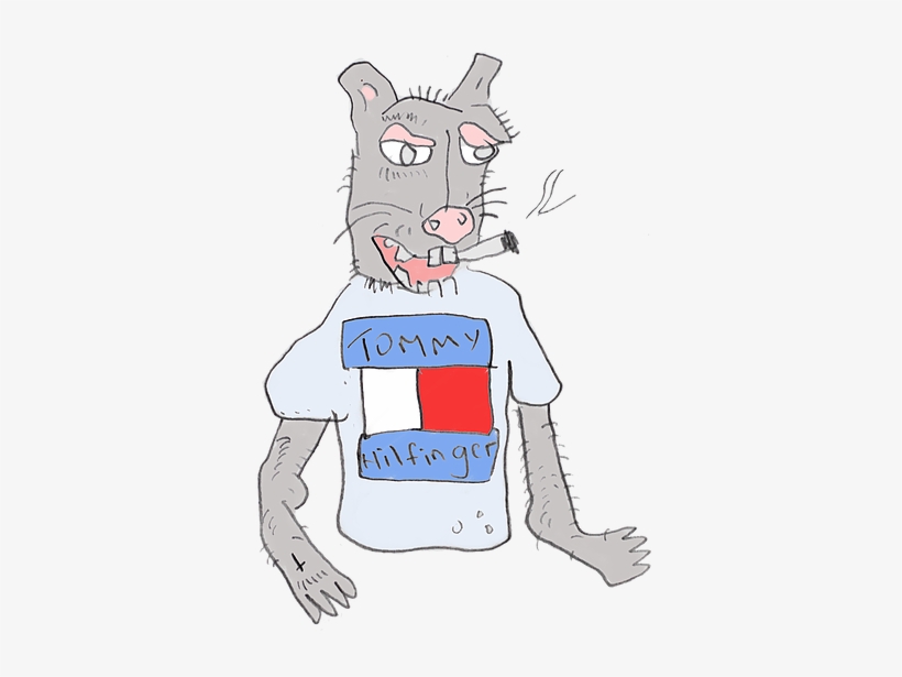 The Remainder Of The Sticky Discs Sit Above The Fridge, - Cartoon, transparent png #3837741