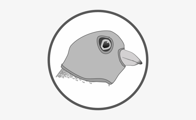 Resurgens Orthopaedics, transparent png #3838348