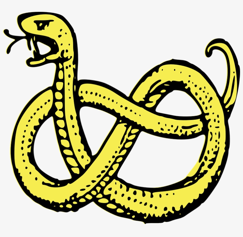 Snake, Coiled, Serpent, Predator, Isolated, Drawing - Coat Of Arms Symbols Snake, transparent png #3838390