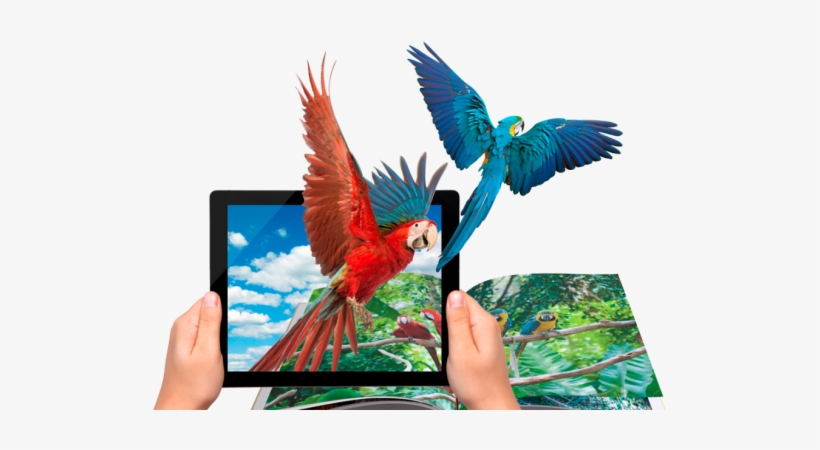 The Very Hungry Caterpillar Ar - Augmented Reality App Hot, transparent png #3839154