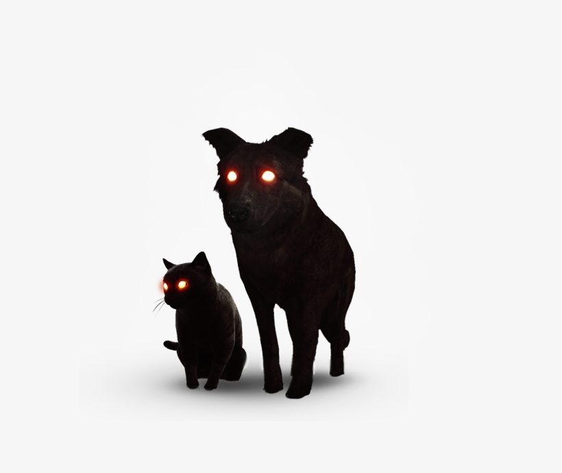 Tw3 Journal Black Cat And Dog - Witcher 3 Black Dog And Cat, transparent png #3839554