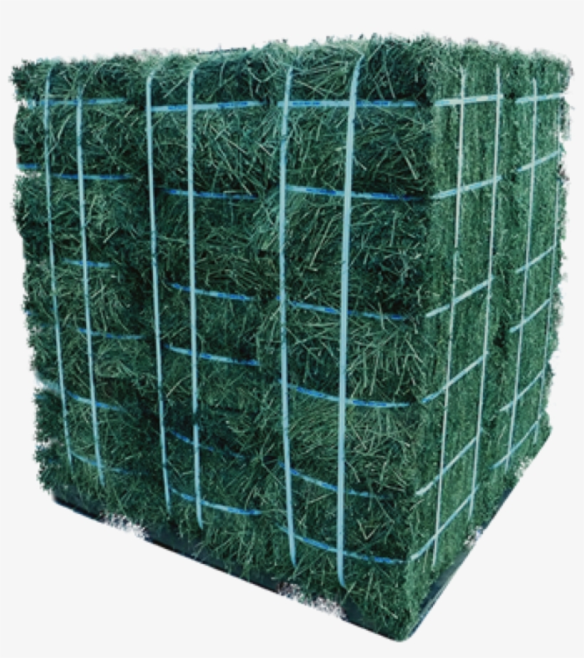 Alfalfa Hay 18 Bale Pallet - Hay, transparent png #3840047
