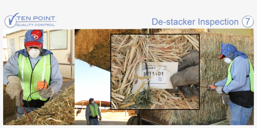 He Will Remove Any With Contamination - Hay, transparent png #3840095