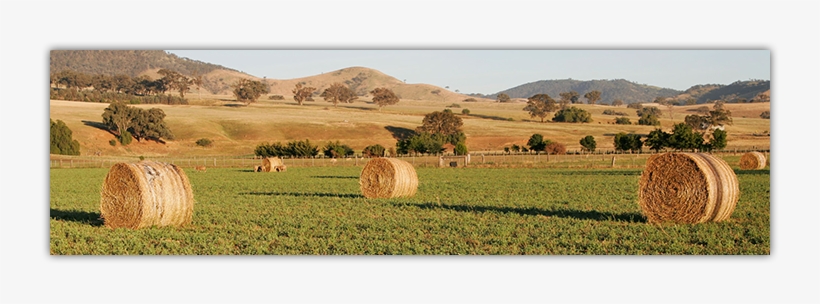 Cleven And Sons Llc, transparent png #3840211