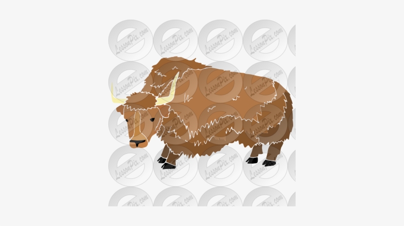Bison Clipart Yak - Domestic Yak, transparent png #3840326