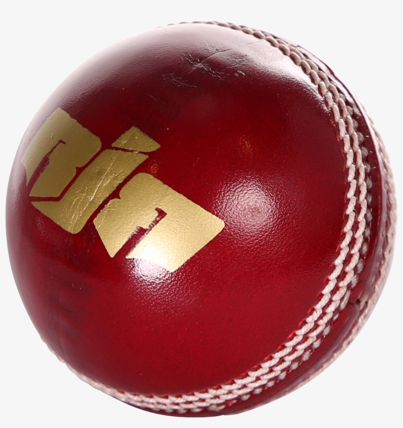 Why - Cricket, transparent png #3840395