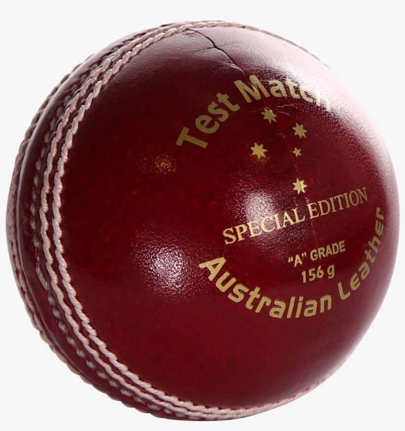 Cricket, transparent png #3840470